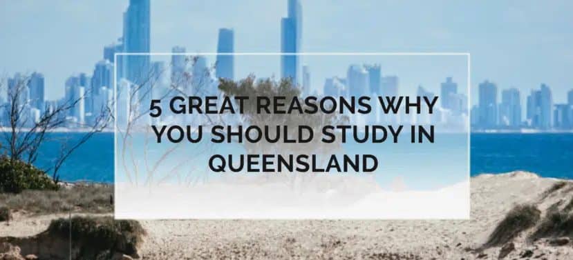 5 Great Reasons Why You Should Study in Queensland