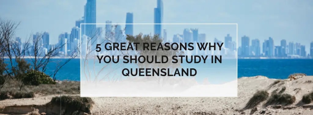 5 Great Reasons Why You Should Study in Queensland